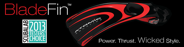 Atomic Blade Fins