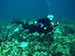 Bonaire 2013