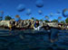 Bonaire 2013