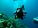 Bonaire 2013