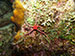 Bonaire 2013