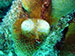Bonaire 2013