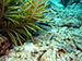 Bonaire 2013