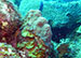Bonaire 2013