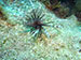 Bonaire 2013