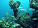 Bonaire 2013