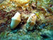 Bonaire 2013