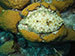 Bonaire 2013