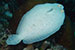 Bonaire 2013