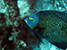 Bonaire 2013