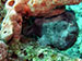 Bonaire 2013