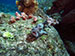 Bonaire 2013