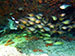 Bonaire 2013