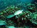 Bonaire 2013