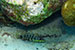 Bonaire 2013