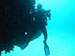 Bonaire 2013