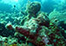 Bonaire 2013