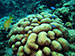Bonaire 2013