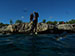 Bonaire 2013