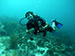 Bonaire 2013