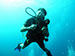 Bonaire 2013