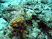 Bonaire 2013