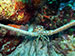 Bonaire 2013