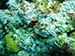 Bonaire 2013