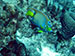 Bonaire 2013