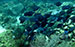 Bonaire 2013
