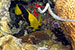 Bonaire 2013