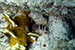 Bonaire 2013