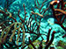 Bonaire 2013
