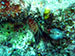 Bonaire 2013