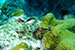 Bonaire 2013