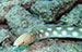 Bonaire 2013