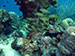 Bonaire 2013