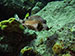 Bonaire 2013