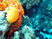 Bonaire 2013