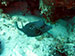 Bonaire 2013
