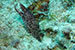 Bonaire 2013