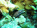 Bonaire 2013