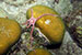 Bonaire 2013