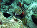 Bonaire 2013