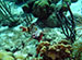 Bonaire 2013