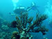 Bonaire 2013