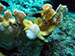 Bonaire 2013