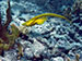 Bonaire 2013