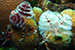 Bonaire 2013