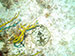Cozumel 2013